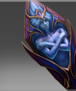 Shield of Eternal Night