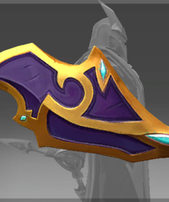 Shield of the Silent Champion