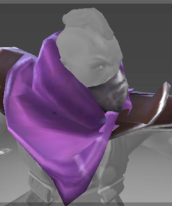 Shoulders of the Witch Hunter