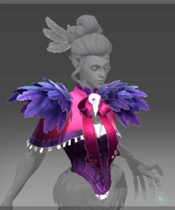 Inscribed Blouse of the Unkind Countess